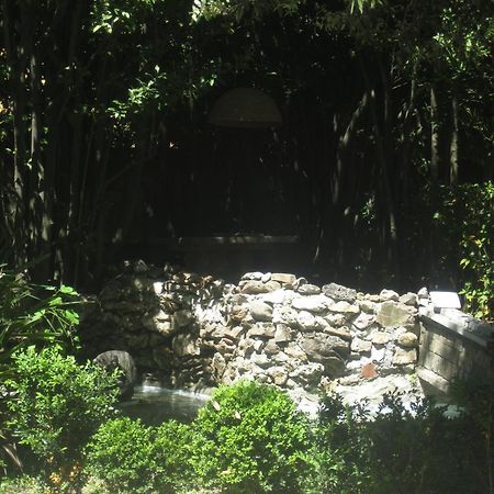 Villa Patrizia B&B Lucca Luaran gambar
