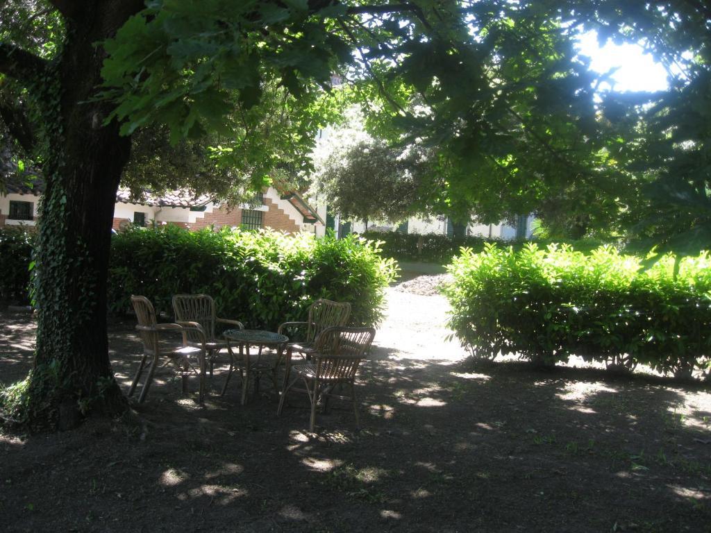 Villa Patrizia B&B Lucca Luaran gambar